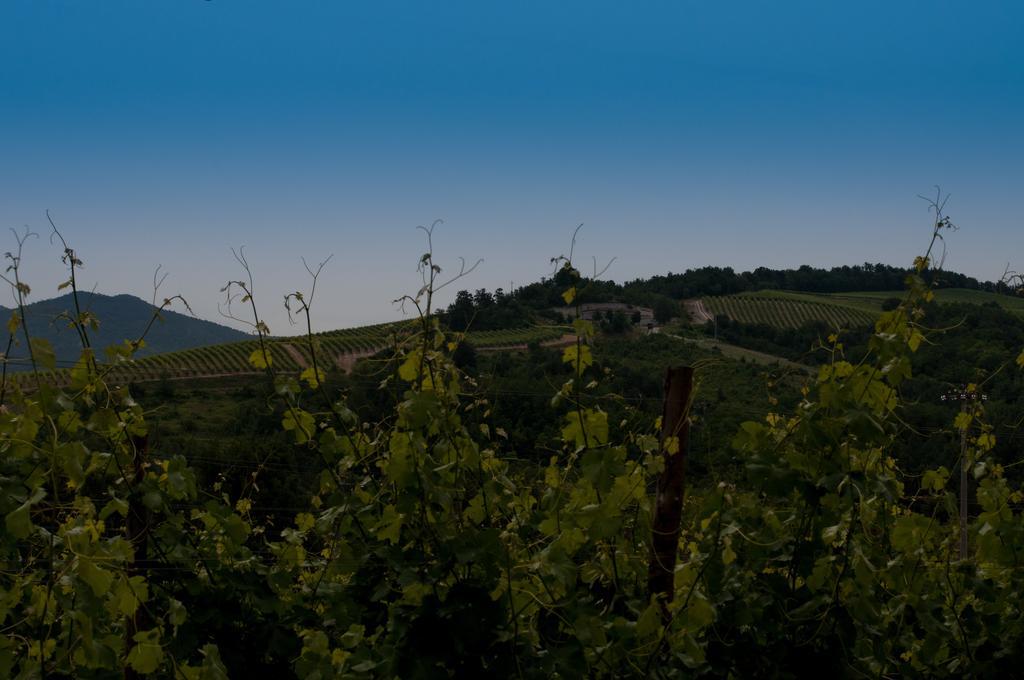 B&B Cascina Santa Gavi Exterior foto